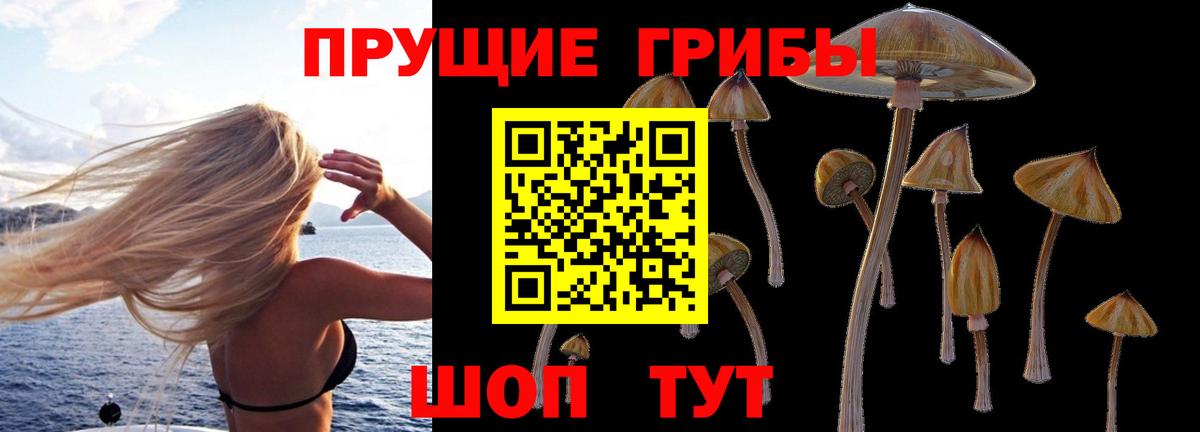 Галлюциногенные грибы Psilocybe  Вход с VPN  Галлюциногенные грибы мухоморы  Карачаевск 